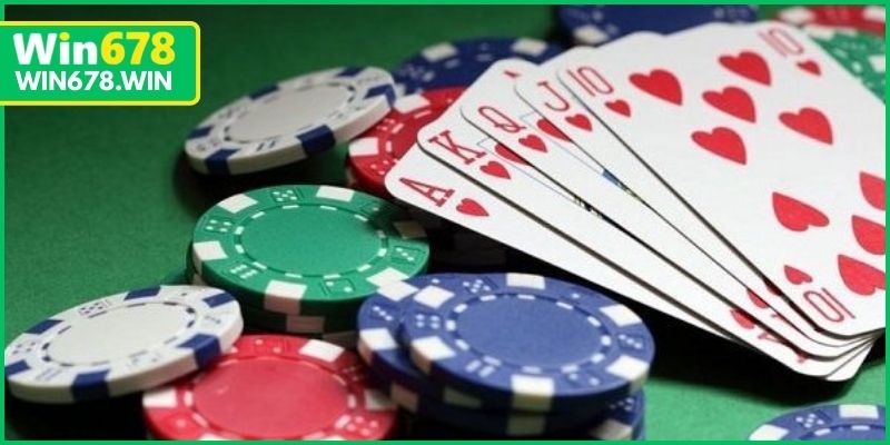 Danh mục số hóa trực quan với cơ chế chia phòng tự động